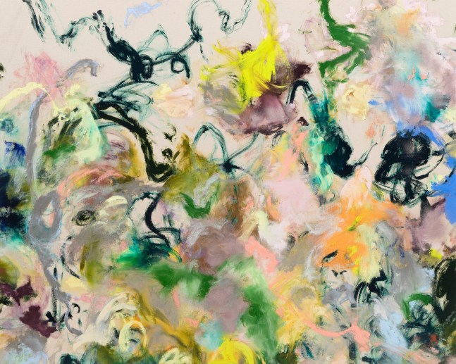 Colleen Herman

Ouroboros, 2024

oil and spray paint on canvas

48 x 60 in.
121.9 x 152.4 cm.

(HERM026)