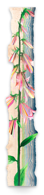 Jason Middlebrook

Found in a Pine Forest, 2019

acrylic and spray paint on maple

108 x 19 x 1 1/2 in.
274.3 x 48.3 x 3.8 cm.

(MIDD004)