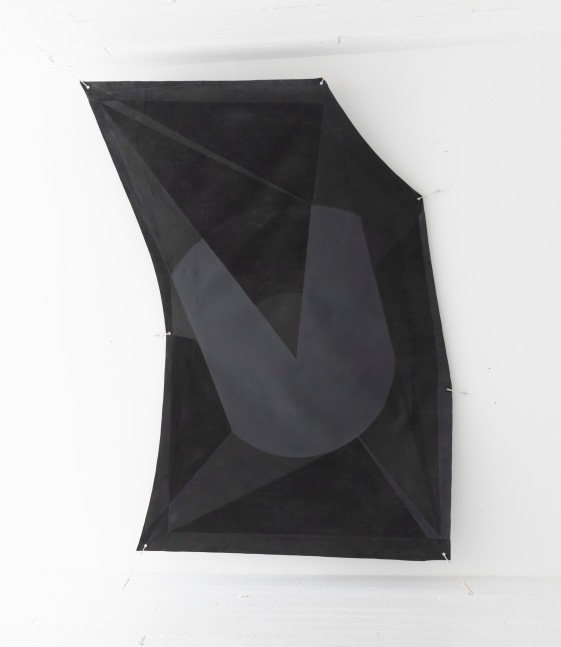 Joe Overstreet

Shadow and Light, 1971

Acrylic on canvas with grommets

Dimensions variable 116 x 80 x 10 inches canvas size (present overall installation 130 x 90 x 10 inches)

(JOVE069)