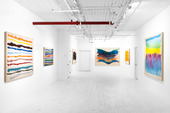 Pat Lipsky: Color World