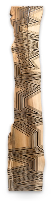 Jason Middlebrook

Thirty Six Turns on One Tree, 2015

acrylic on poplar

120 x 22 x 1 1/2 in.
304.8 x 55.9 x 3.8 cm.

(MIDD003)