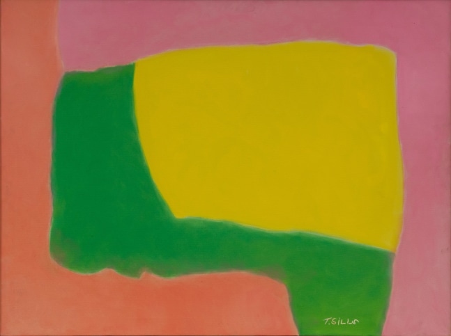 Thomas Sills

Yellow Green, 1973

oil on canvas

30h x 40w in
76.20h x 101.60w cm

THSIL195
