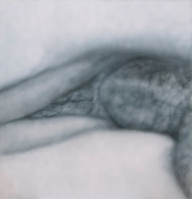 Betty Tompkins

Fuck Painting #60, 2019

acrylic on canvas

60 x 58 in.
152.4 x 147.3 cm.

(BETOM002)