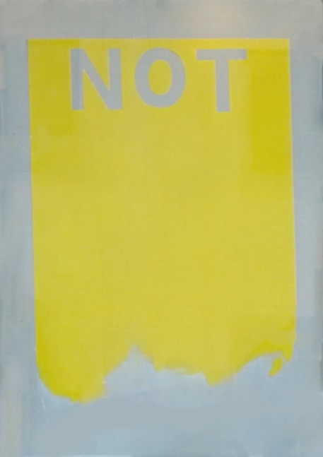 NOT (yellow), 2018
Acrylic on Linen
64 x 48 inches