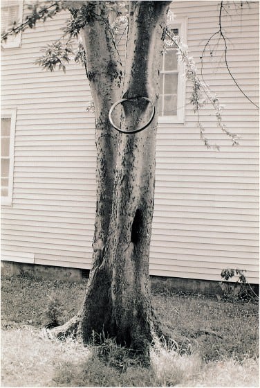 David Hammons
Money Tree, 1992
Sepia-Print photograph
16.5&amp;nbsp;x 11 inches
Edition 70/XXV
Courtesy of David Hammons, Parkett, and Thea Westreich