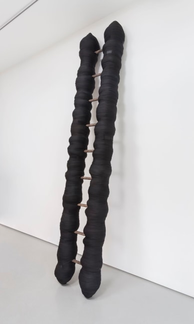 Cheryl Pope
Standing Strong (Title of a Poem by Ed Robinson, 2013), 2016
Wood ladder, 481 boxing hand-wraps
120 x 10 x 30 inches
Courtesy of the Artist and Monique Meloche Gallery