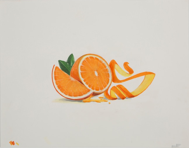 Vitamin C, 2013
Ink on paper
11 x 14 Inches
&amp;nbsp;