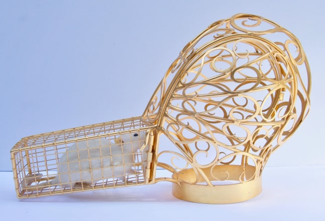 A Doubling of Cages (For an unnamed African-American sideshow geek in a WPA photograph), 2019
Gold-plated steel, taxidermied rat
12.5&amp;nbsp;x 21 x 9 inches