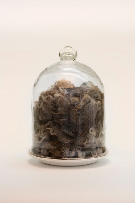 Lava Thomas
Bell Jar, 2003
Glass, ceramic and wool fiber
15.5 x 12 x 12 inches
Courtesy of the artist and Rena Bransten Gallery, San Francisco