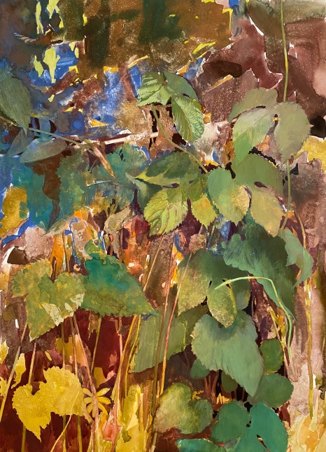 Dale O. Roberts, Overlay Of Hops  19.5″ x 14.5″  Gouache