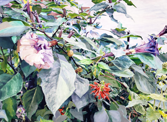 Naomi Chung, Angel Trumpet  44&quot; x 59.5&quot;  Oil On Canvas