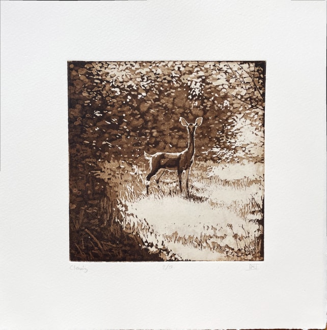 Clearing, 10” x 10” (12” x 12” Framed), Etching