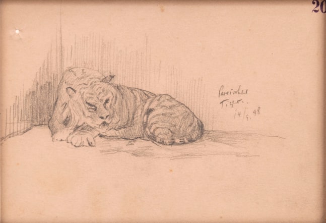 Hermann Struck, Tiger, 1898

Graphite on paper, 6.26 by 4.25 inches
(15.9 by 10.8 cm)
Framed: 10 1/2 x 8 1/2 inches
(Inv# HS3039)