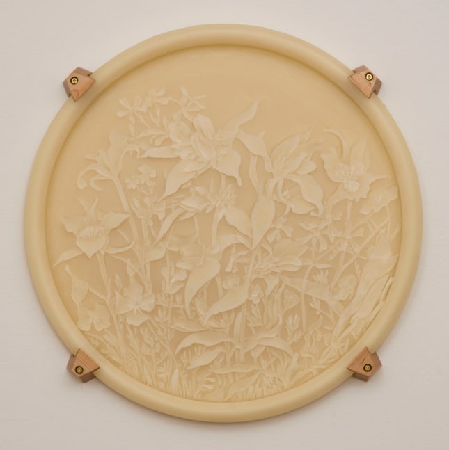 Jolynn Krystosek, Untitled, 2008

wax and wood, 19.5 by 19.5 inches

&amp;nbsp;