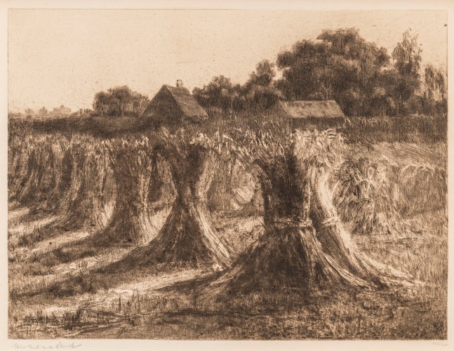 Hermann Struck, Wheat sheaves, 1900, Etching

12.4 by 9.33 inches (31.5 by 23.7 cm) Ed. 127 of 150
&amp;nbsp;