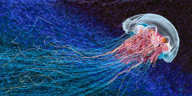 Jellyfish Rising 

Mixed Media

18&amp;quot; x 36&amp;quot; x 1.25&amp;quot;