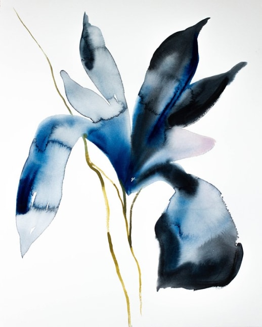 Iris No. 60
Watercolor
22&amp;quot; x 26&amp;quot; x 1&amp;quot;
2019
&amp;nbsp;