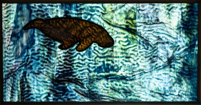 Manatee
Stained glass
16&amp;quot; x 9.5&amp;quot; x .375&amp;quot;
2021
&amp;nbsp;