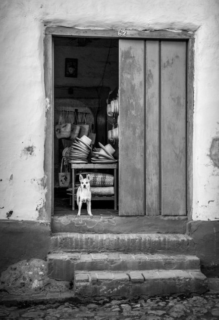 Guard Dog
Photography
16&amp;quot; x 20&amp;quot;
&amp;nbsp;