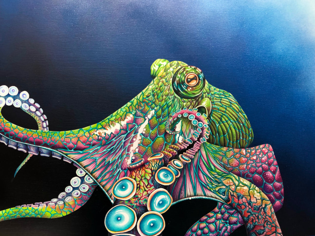 Jose the Octopus 

Color Pencil

18&amp;quot; x 24&amp;quot; x 2&amp;quot;
