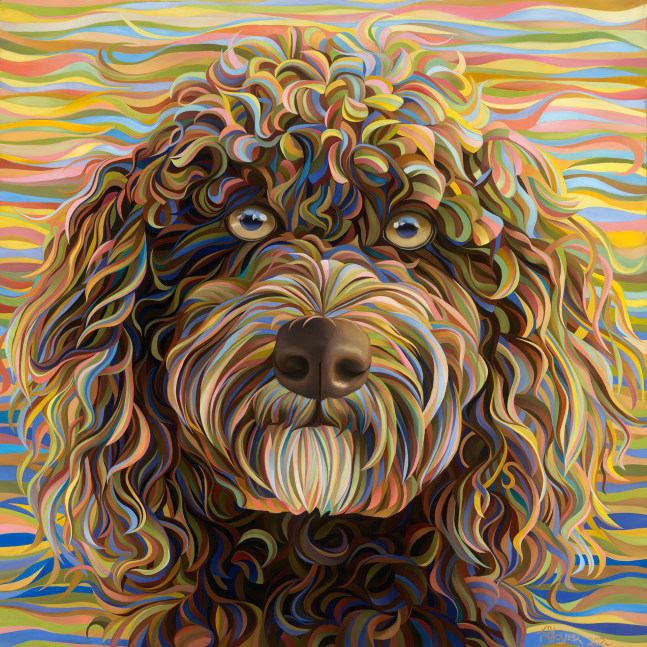 Goldendoodle

Oil on canvas

42&amp;quot; x 42&amp;quot; x 1.5