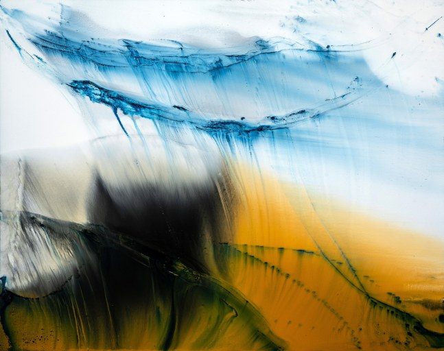 Treeless

oil on canvas

48&amp;quot; x 60&amp;quot; x 1.5&amp;quot;
