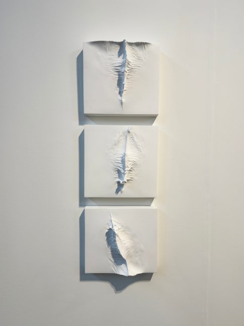 Alwar Balasubramaniam
Traces | 2023
Fiberglass and acrylic
40&amp;quot; x 13.5&amp;quot; x 3&amp;quot; (In 3 parts)
TG 5006