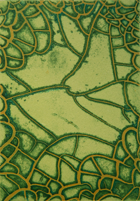 Untitled&amp;nbsp;| 2023
Etching on zinc
7&amp;Prime; x 5&amp;Prime; | Framed: 18 3/4&amp;quot; x 14 7/8&amp;quot;
TG 5031
Edition of 6
&amp;nbsp;