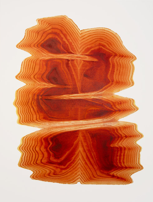 Untitled&amp;nbsp;| 2023
Acrylic and ink on canvas
55&amp;quot; x 42&amp;quot;
TG 5007