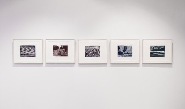 Postcards from my hometown,&amp;nbsp;2021
Woodcut print
12.5&amp;Prime; x 16.25&amp;Prime; x .75&amp;Prime; (Each of 5)
TG# 4408