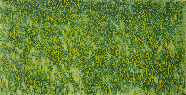 Untitled&amp;nbsp;| 2023
Etching on zinc
5&amp;Prime; x 10&amp;Prime; | Framed: 15&amp;quot; x 19.5&amp;quot;
TG 5032
Edition of 6