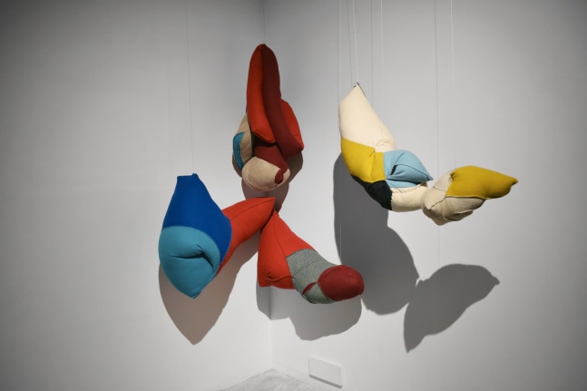 What Now? |&amp;nbsp;2022
Fabric, cotton fibre |&amp;nbsp;83&amp;quot; x 67&amp;quot; x 37&amp;quot; (Variable)
TG 4830