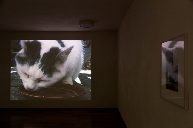 Installation view of video works by Peter Fischli and David Weiss