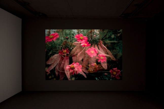 Installation view of video work by Peter Fischli and David Weiss