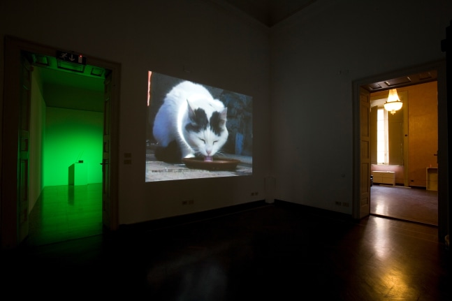 Installation view of sculptures by Peter Fischli and David Weiss