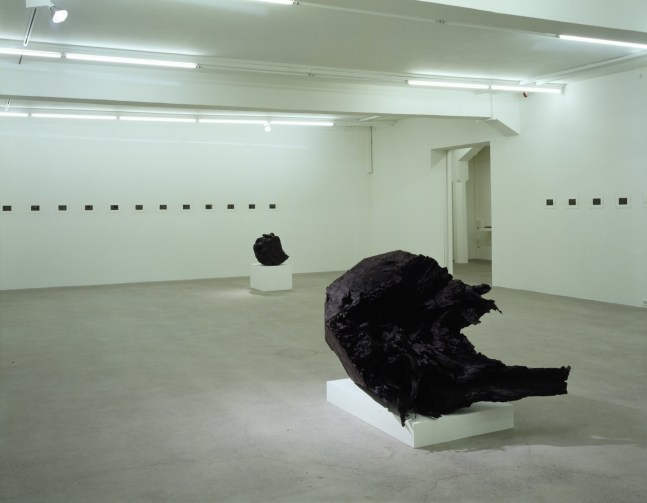 Installation view of Peter Fischli David Weiss photography and sculpture exhibition