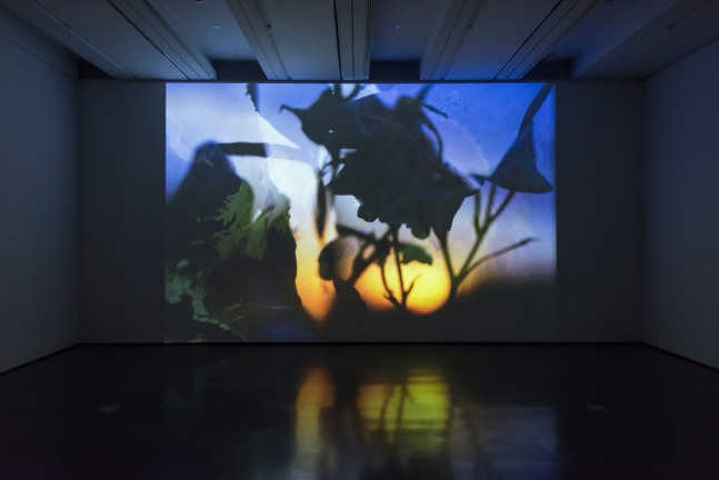 Installation view of sculptures by Peter Fischli and David Weiss and works by Wade Guyton