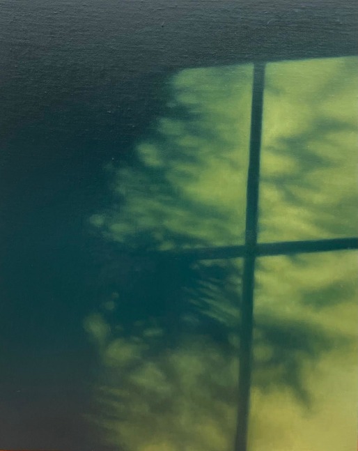 Green and Gold  20″ x 16″  Oil On Mounted Linen