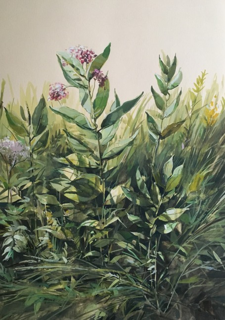 Wildflowers 22&quot; x 15&quot;  Watercolor On Buff Paper