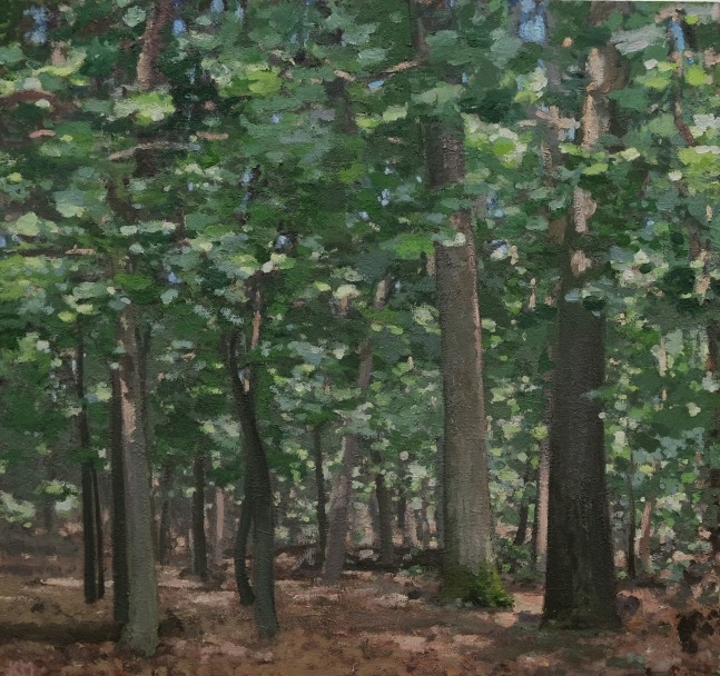 Forest In The Valley  60&quot; x 64&quot;  Oil On Canvas