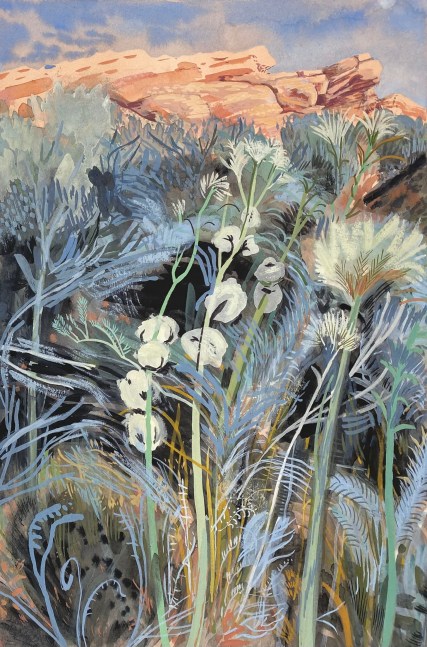 Slow Growth at Red Cliffs  16&quot; x 12&quot;  Gouache On Paper