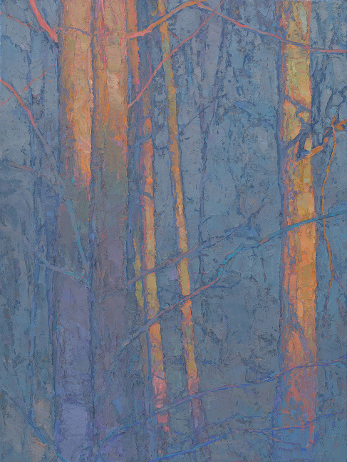 Silvery Morning Woods  24&quot; x 18&quot;  Oil On Belgian Linen