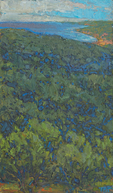 High View To The Water  6.62&quot; x 4&quot;  Oil/Paper/Birch Ply