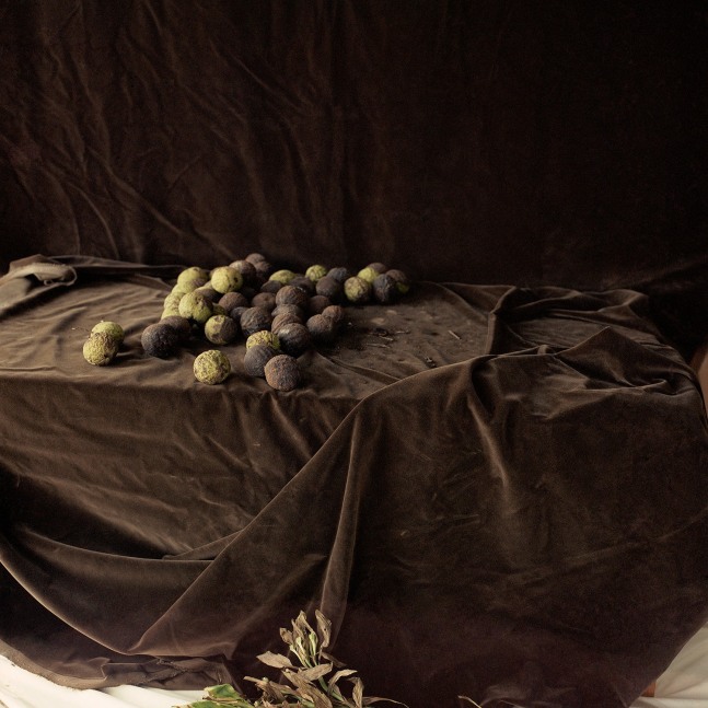 Walnuts On Brown Velvet  34&quot; x 34&quot; Image On 40&quot; x 40&quot; Paper  Signed Archival Pigment Prints  Edition of 5