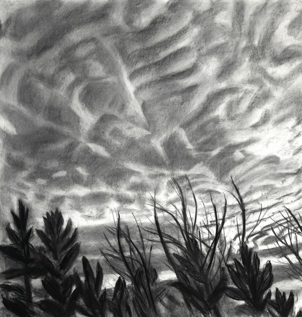 Mackerel Sky I  38&quot; x 36&quot;  Charcoal On Paper
