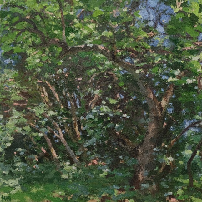 Apple Tree, July 48&quot; x 48  Oil On Canvas
