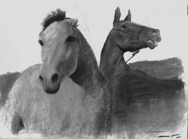 Ted Walsh, Horses 22&quot; x 30&quot;  Charcoal On Paper