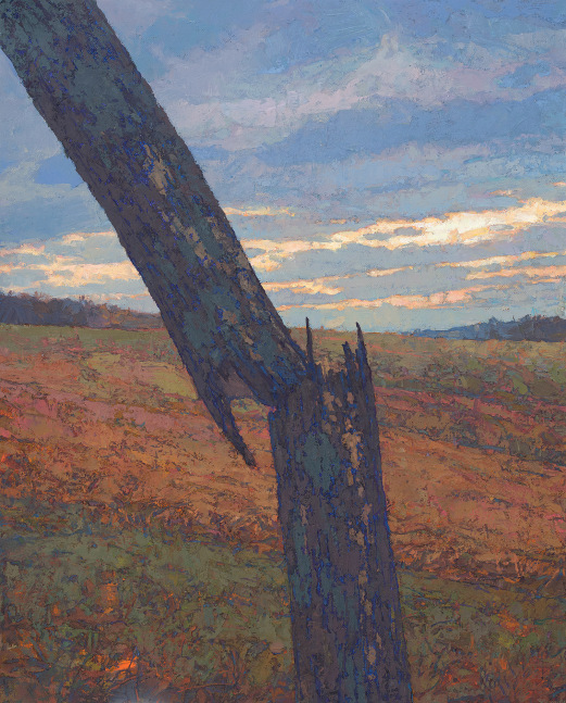Broken Ash On Property Line  30&quot; x 24&quot;  Oil On Belgian Linen