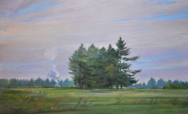 Pine Trees In A Field  32 x 52  Oil On Linen