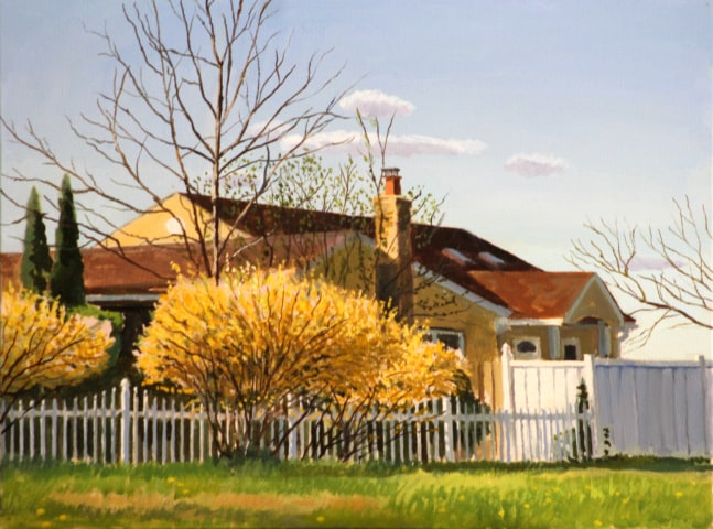 Forsythia on Henry  12&quot; x 16&quot;  Oil On Canvas